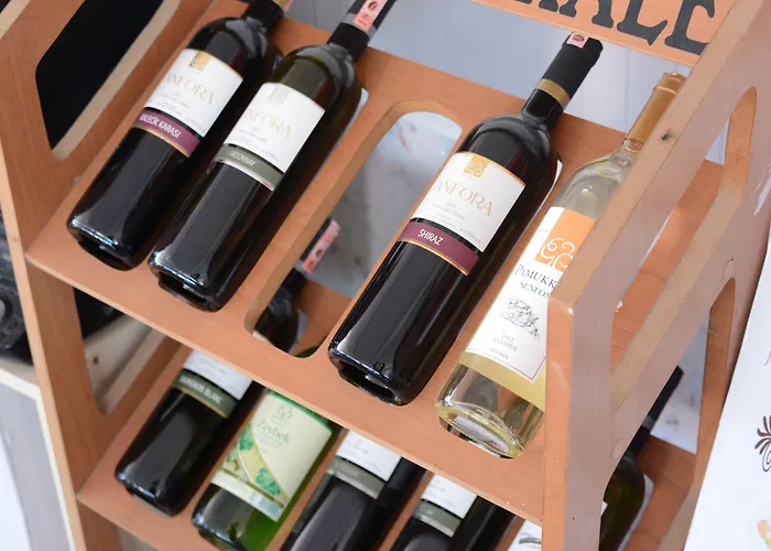 格雷梅酒店 帕莫卡莱